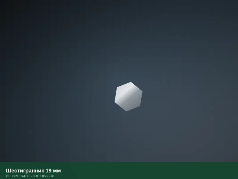 Шестигранник 19 мм — металлопрокат DELDIN TRADE